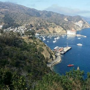 Meet your Posher, Kami